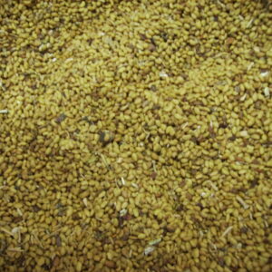 Alfalfa Seeds Bulk