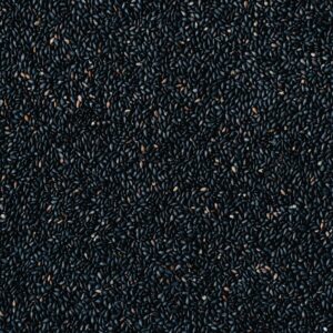 Black Sesame Seeds Bulk