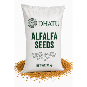 Alfalfa Seeds