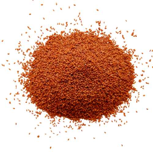 Garden Cress Seeds Bulk