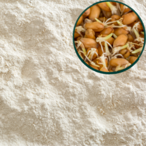 Sprouted Flours